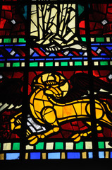 Stained glass depicting a bull in the Catholic Cathedral, San Mateo Apostol in Osorno, Chile.
