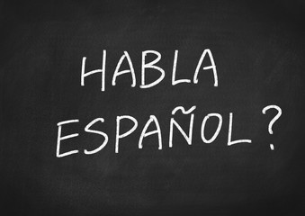 Habla Espanol? do you speak Spanish?