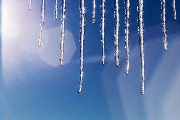 Winter icicles on a background of the early sun frosty morning