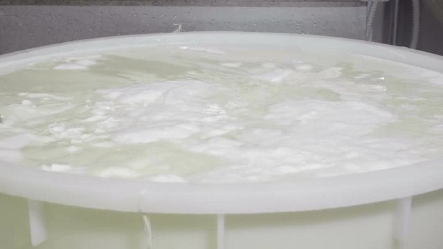 Cheese factory worker moving fermenting milk