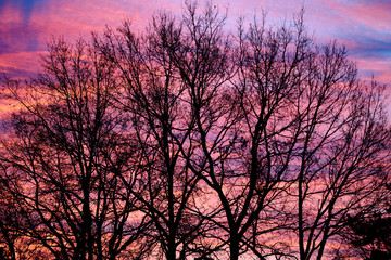 Sonnenaufgang im Dezember