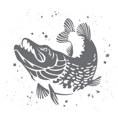 Fototapeta na wymiar Predatory pike. The stylized image of fish. Vector
