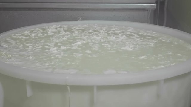 Cheese factory worker moving fermenting milk