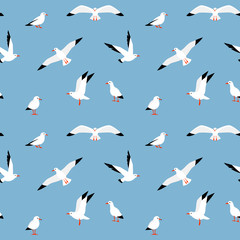 Vector beautiful pattern with seagulls.