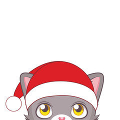 Cute gray cat looking up with blank background