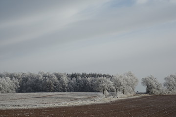 Frostiges Wald und Feld