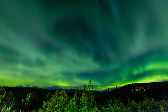 Aura Borealis (Northern Lights) In Denali Wilderness National Park, Alaska