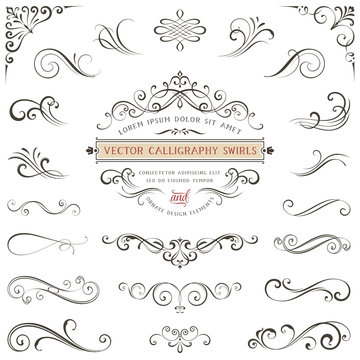 Calligraphy swirls, swashes, ornate motifs and scrolls. Vector illustration.