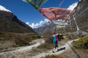 In the Langtang valley a woman treks under a string of prayer flags path between Langtang village and Kyanjin Gompa, Langtang Region, Himalayas, Nepal