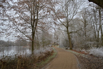 Herbsttag mit Frost auf einem Weg am See