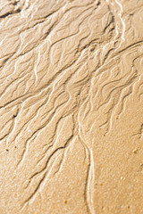 Close up on the sand on the beach