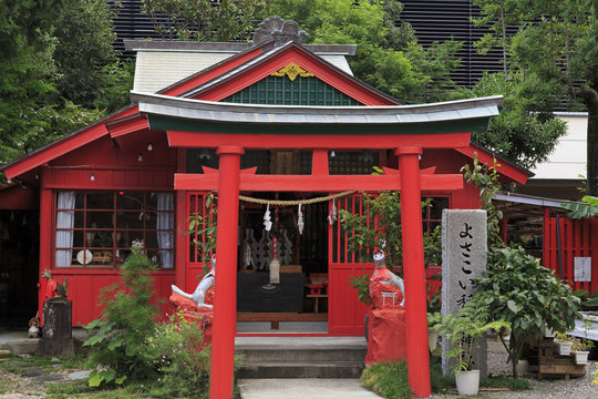 Kochi dai Jingu Shrine, Kochi City, Shikoku Island, Japan