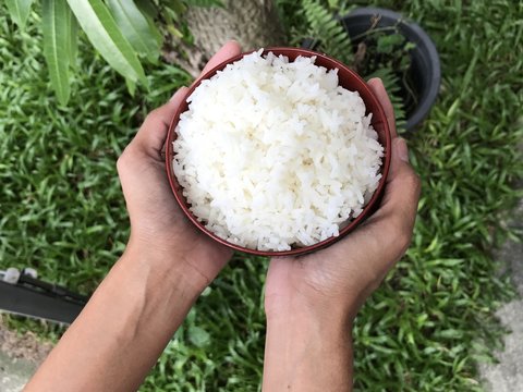 Two Hands Holding A Bowl Of Rice.