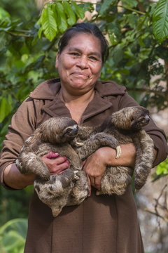 A woman with her pet brown-throated sloths (Bradypus variegatus), San Francisco Village, Loreto, Peru