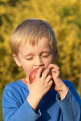 Child little blond boy eating red apple outdoor in the garden. Kids, lifestyle concept. Child eating healthy food


