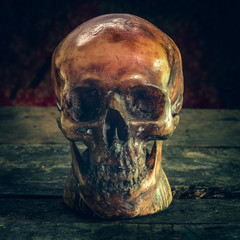 Human skull on old wood background, still life