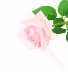 Low poly illustration Pink blooming rose bud isolated on white background
