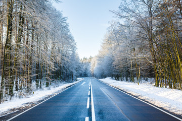 Road in a winter forest