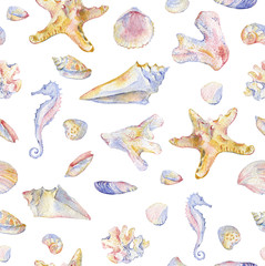 Seashells seamless pattern on white background