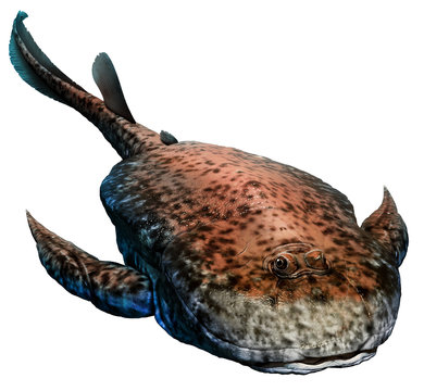 Bothriolepis from the Devonian era 3D illustration