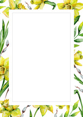 Daffodils and green grass and pussy-willow on white flower background. Floral greeting card. Watercolor invitation card template. May be used for wedding, Holyday or birthday greeting card.