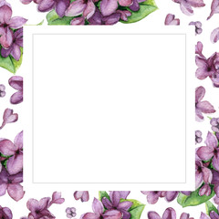 Violet lilac on white flower background. Floral greeting card. Watercolor invitation card template. May be used for wedding, Holyday or birthday greeting card.