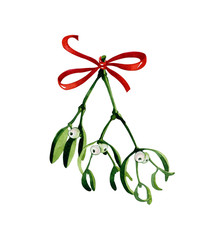 Watercolor Christmas branch of mistletoe and  ribbon. Use it for wrapping paper, card or textile design. Hand drawn mistletoe twigs. Christmas mistletoe. Winter holiday decoration.