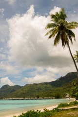 plage à Moorea - Polynésie Française