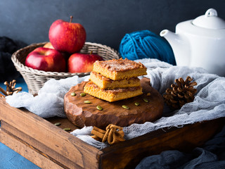Christmas pumpkin spiced blondies. Dark food still life