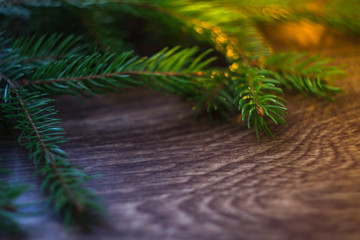 Christmas tree branch on a wooden background