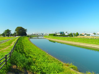 秋の坂川放水路風景