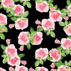 Beautiful floral pattern of pink roses 
