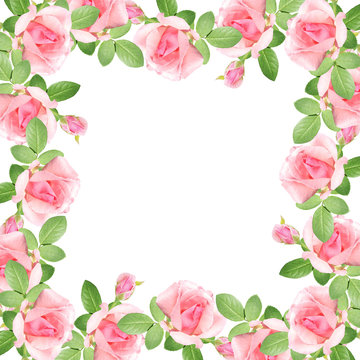 Beautiful floral pattern of pink roses 