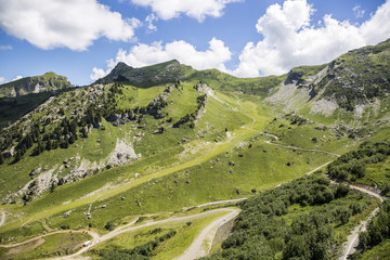 Obraz premium Bucolic green summer alpine landscape, Swiss Alps mountain massif, canton du Valais, Switzerland
