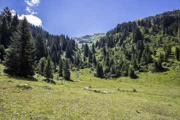 Bucolic green summer alpine landscape, Swiss Alps mountain massif, canton du Valais, Switzerland