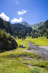 Bucolic green summer alpine landscape, Swiss Alps mountain massif, canton du Valais, Switzerland
