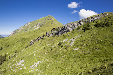 Fototapeta na wymiar Bucolic green summer alpine landscape, Swiss Alps mountain massif, canton du Valais, Switzerland