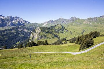 Fototapeta na wymiar Green alpine landscape in summer, view over Swiss Alps mountain massif, Canton du Valais, Switzerland