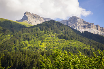 Bucolic green summer alpine landscape, Swiss Alps mountain massif, canton du Valais, Switzerland