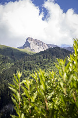Bucolic green summer alpine landscape, Swiss Alps mountain massif, canton du Valais, Switzerland