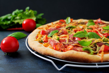 Pizza with salami, ham, tomato, cheese and mushrooms