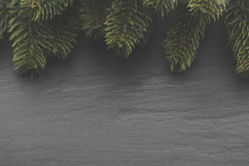 Christmas tree branches on a slate background