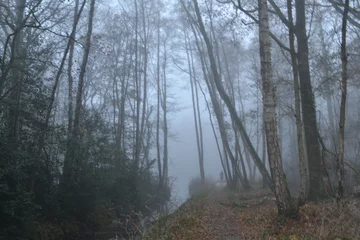 Fototapeten vrouw verdwaald in mistig bos met vijver in Laag Keppel © henkbouwers