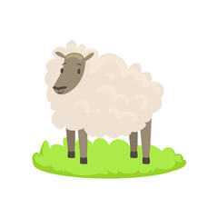 Sheep Farm Animal Cartoon Farm Related Element On Patch Of Green Grass