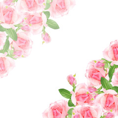 Beautiful floral pattern of pink roses 