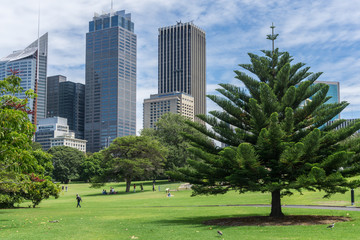 The Royal Botanic Gardens, Sydney, New South Wales, Australia