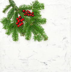 Fototapeta na wymiar Christmas tree branches white wall texture stone background