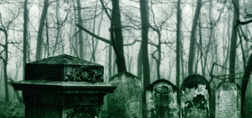 Dark Horror Forest gravestone background.