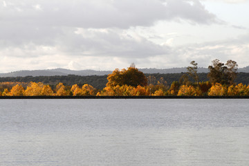 Contrastes naturales