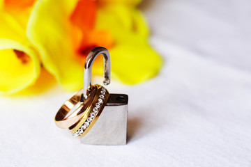 Wedding rings and orchid
